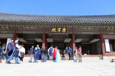 IBS Conference Seoul Tour