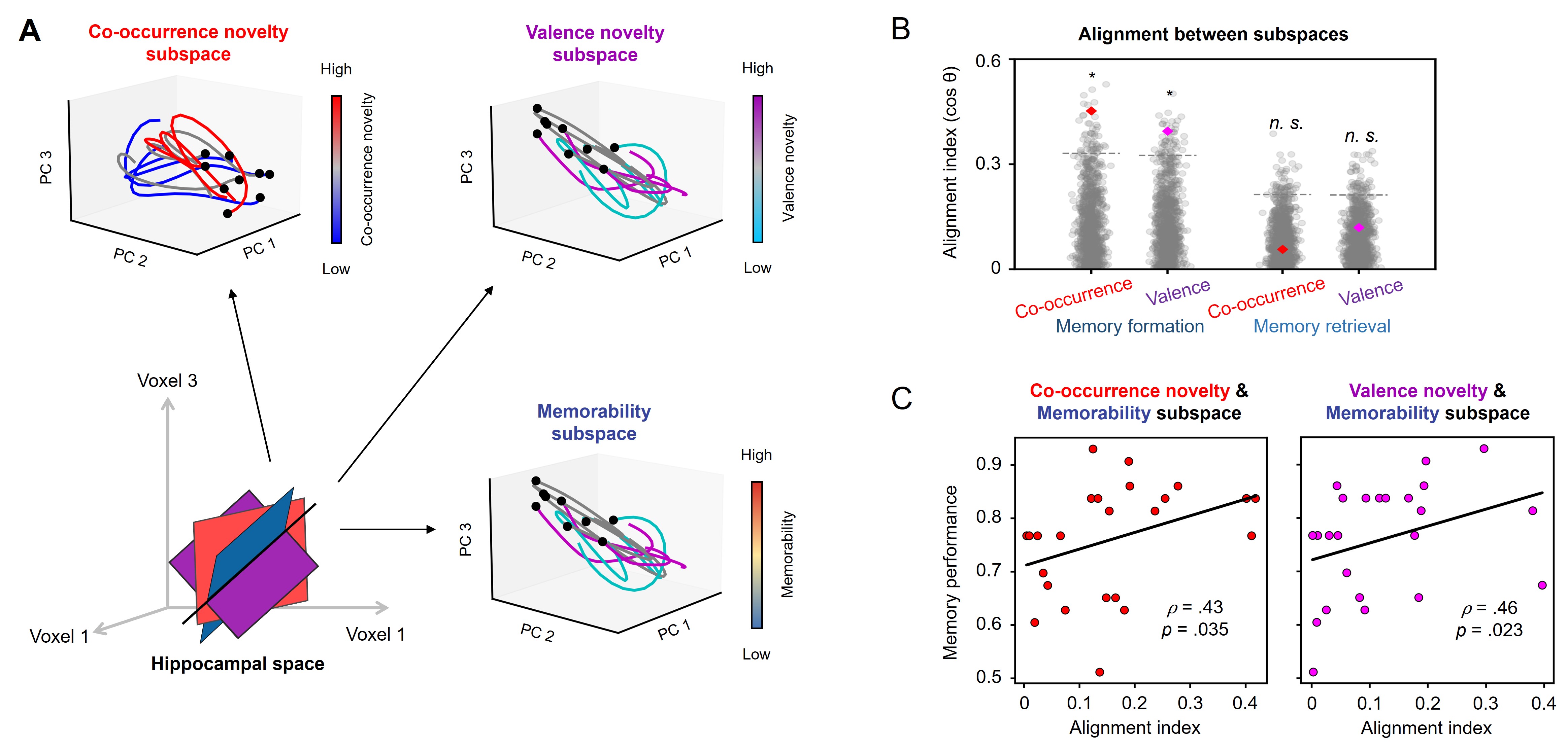 How Does the Hippocampus Coordinate Memory Encoding and Retrieval? 사진