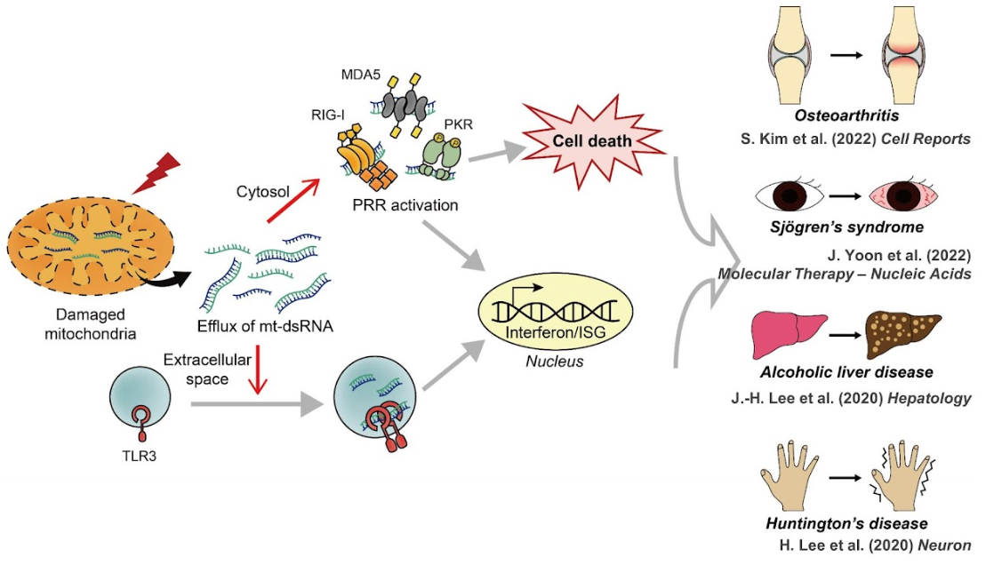 RNA