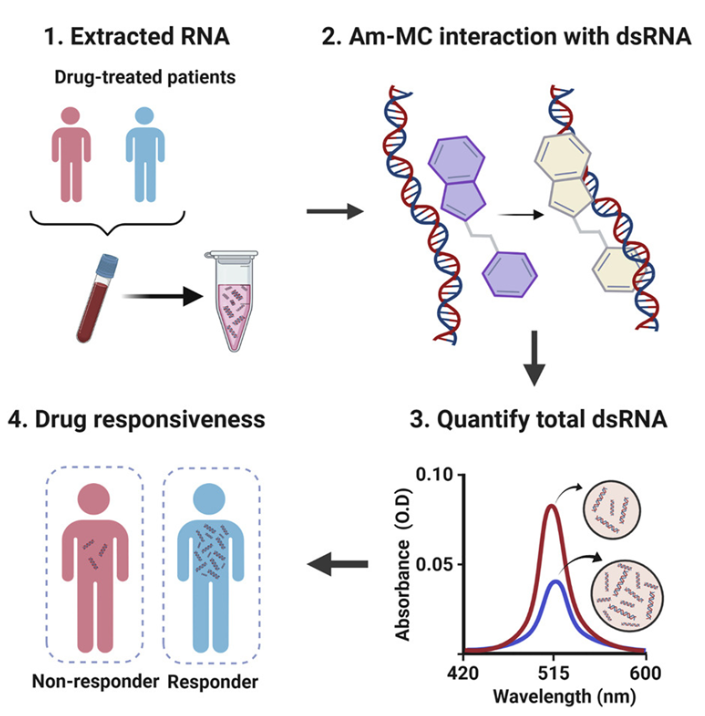 RNA